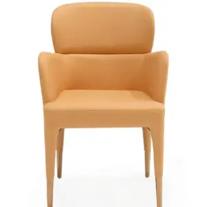 Peach Elegance Dining Armchair