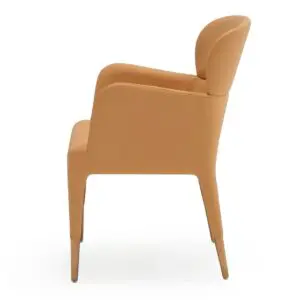 Alternative view of Peach Elegance Dining Armchair
