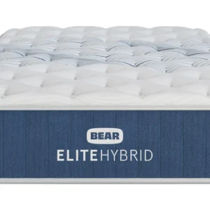 Alternative view of Bear Elite Hybrid