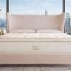 Posh & Lavish Curated Collection